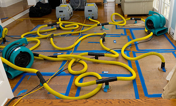 Professional Water Damage Repair technician working in Leavenworth, WA